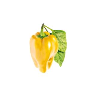 Click and Grow  sladká žltá paprika,  kapsule so semienkami a substrátom 3ks značky Click and Grow