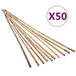Vidaxl Záhradné bambusové kolíky 50 ks 120 cm